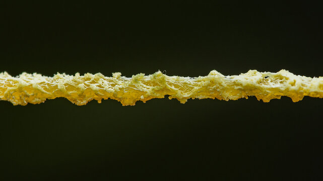 Deteriorating rubber band showing material degradation process