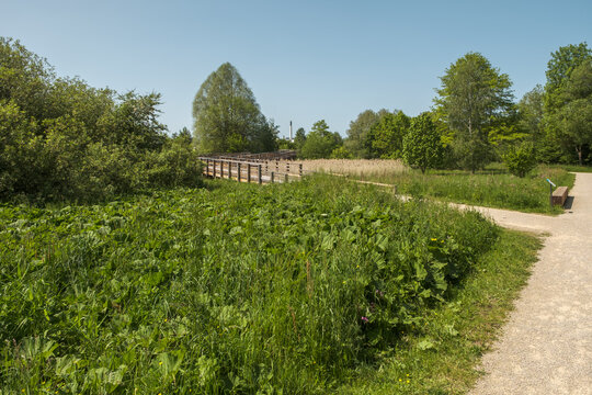 Auenpark Bad Gandersheim