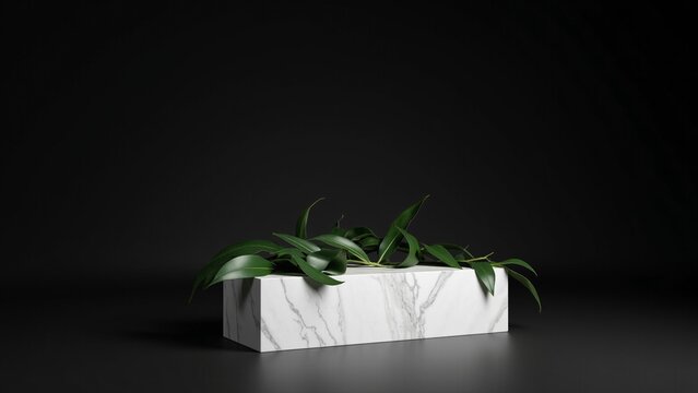 Luxurious Marble Podium and Forest Green Leaves on Black Background