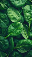 Obraz premium Fresh Spinach Leaves Piled High for Healthy Eating, Nutrition, and Culinary Creativity Ideas.