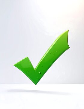 A large green checkmark on a white background (3)