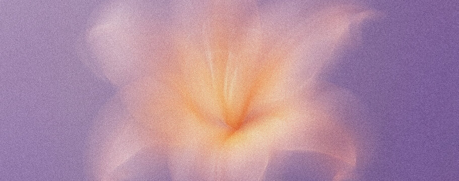 Fleur de lys avec flou de mouvement et grain subtil dans des tons rose orang&eacute; et violet p&acirc;le