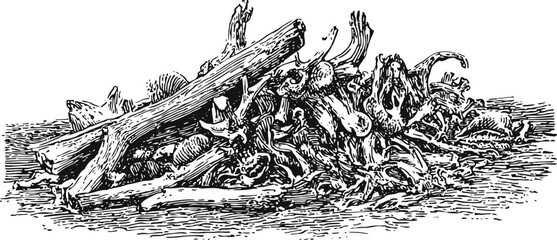 Fototapeta premium Pile of driftwood and tree branches lying on a rough surface detailed black and white engraving illustration