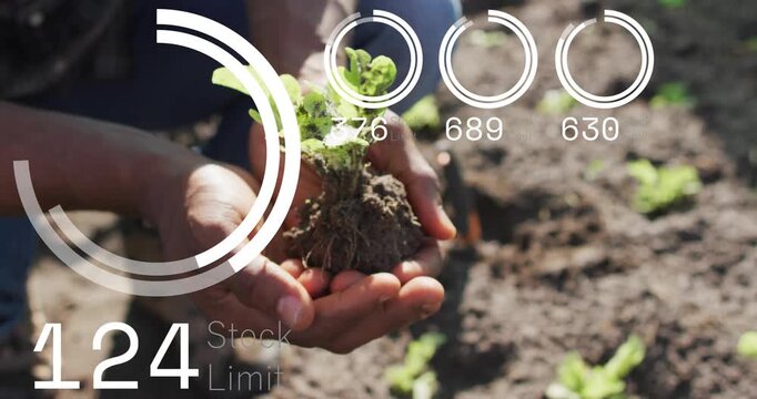 Grower holding seedling starting farm overlays with Stock Limit peaking then falling, monitoring