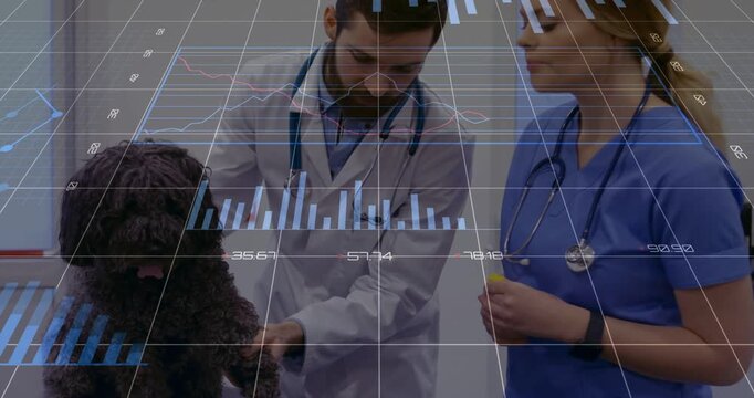 Vet touching palpating dog on exam table, nurse holding yellow cap, data overlay flagging diagnosis