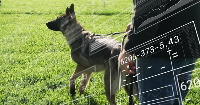 Senior handler steadying dog, adjusting leash after left cue, overlay panels over both for training