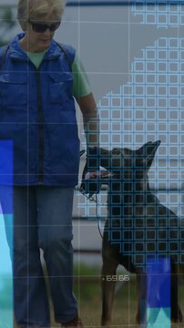 Vertical video: Handler starting walk keeping dog at heel while blue bars overlaying for training