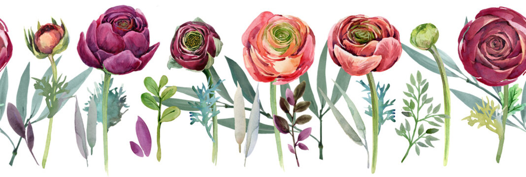 Hand-painted watercolor ranunculus and eucalyptus seamless border, burgundy and coral flowers horizontal repeatable pattern, botanical illustration isolated