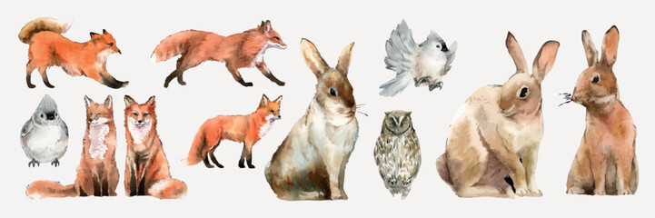 Obraz premium Watercolor animals: foxes, rabbits, owl, and birds. Foxes and rabbits in various poses. Birds and owl add charm. Nature-themed, artistic wildlife illustration. Isolated animal vector set.