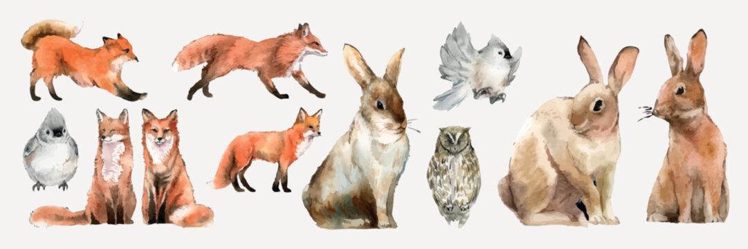 Watercolor animals: foxes, rabbits, owl, and birds. Foxes and rabbits in various poses. Birds and owl add charm. Nature-themed, artistic wildlife illustration. Isolated animal vector set.