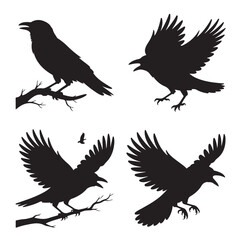 Fototapeta premium set of crow silhouettes