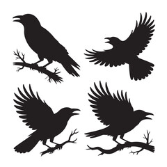 Fototapeta premium Black Crow Silhouettes – Flight and Branch Positions