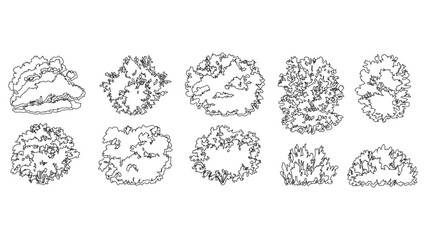 Architectural landscape bushes and shrubs top view set for site plan layout and rendering. © Sara Studio
