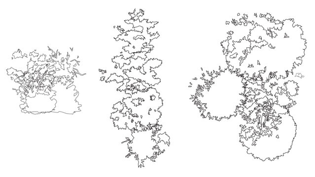 Vertical tree line and group top view symbols for urban landscape planning and site design.