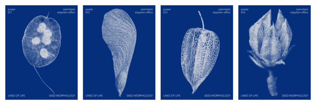 Cyanotype halftone overlay texture bg with leaves silhouettes. Vector soft blue wallpaper for template, graphic design projects, artworks.