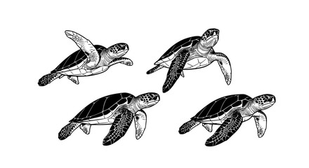 turtle, turtles, sea, silhouette, black, marine, ocean, animal, wildlife, reptile, shell, flipper, swimming, aquatic, nature, underwater, set, collection, vector, illustration, design, isolated, white © MstSweety