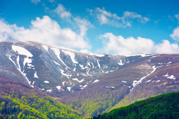 Fototapeta premium nature image of borzhava ridge with snow capped tops in spring landscape. mountain background wallpaper. greenery scenery with forested slopes under blue sky with clouds on sunny weather