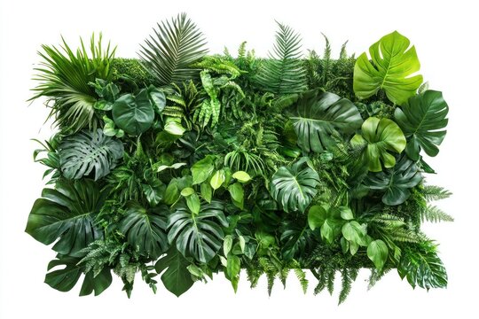 Lush green vertical garden