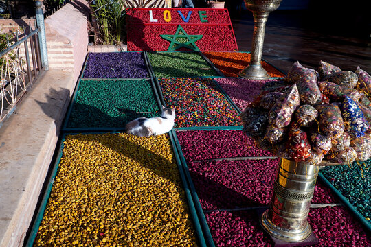 Cat resting on colorful spice display at Moroccan market