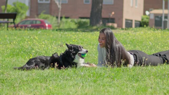 woman lying on green grass and playing with her border collie dog in a sunny park