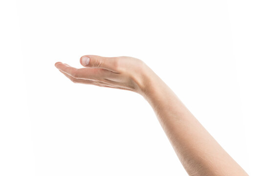 Adult man hand holding something isolated on white background