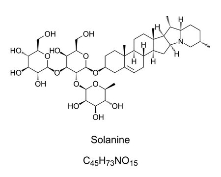 Solanine chemical formula. Glycoalkaloid poison found in potatoes, and in nightshade family within genus Solanum. Occur in leaves, fruit, and tubers, and is not rendered ineffective by cooking. Vector
