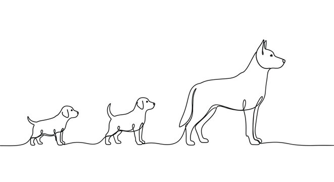A minimalist line drawing depicts three dogs of varying sizes walking in a line on a plain surface.