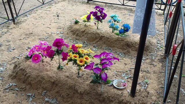 Multiple sandy burial mounds in Orthodox cemetery, each adorned with vibrant artificial flowers. Scene depicts Radonitsa holiday tradition, showcasing offerings and respect for deceased.