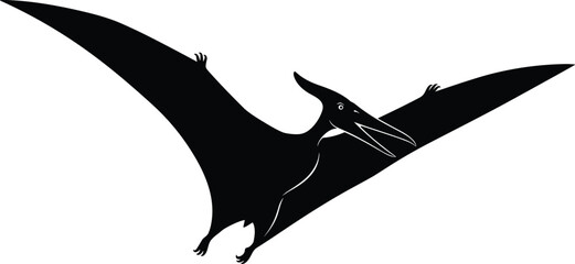 Pteranodon silhouette illustration set, prehistoric flying reptile artwork design, dinosaur vector motif, bold graphic icon, black white ancient symbol © Retu