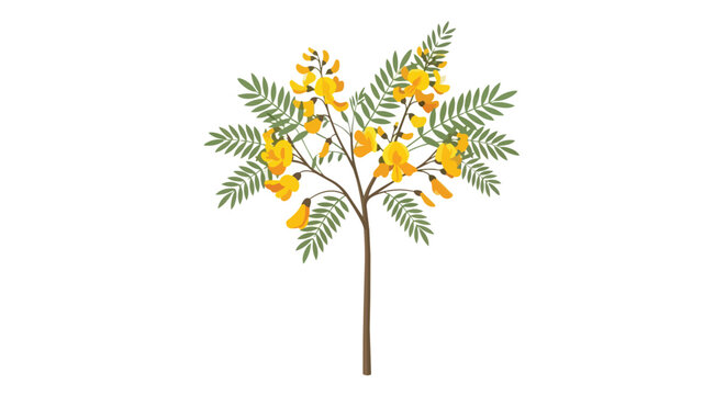 Stylized Illustration of a Sesbania Grandiflora Tree with Yellow Flowers