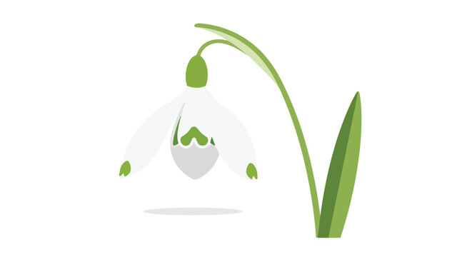 Minimalist Vector Illustration of a Single Snowdrop Flower