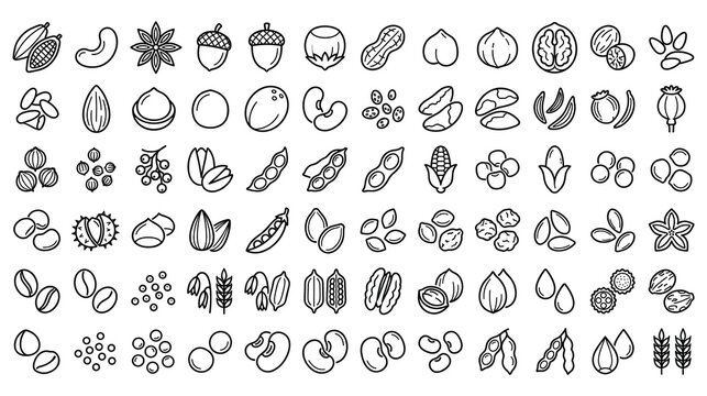 Set of beans peas seeds nuts grains corn and spices food icons collection.