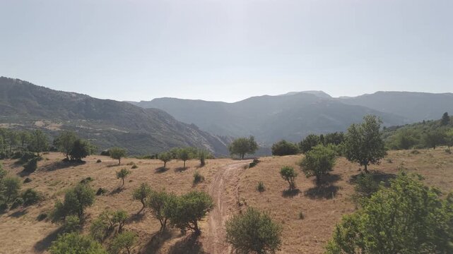 Aerial drone forward shot over green countryside landscape in Achaea, Peloponnese, Greece on a sunny day.