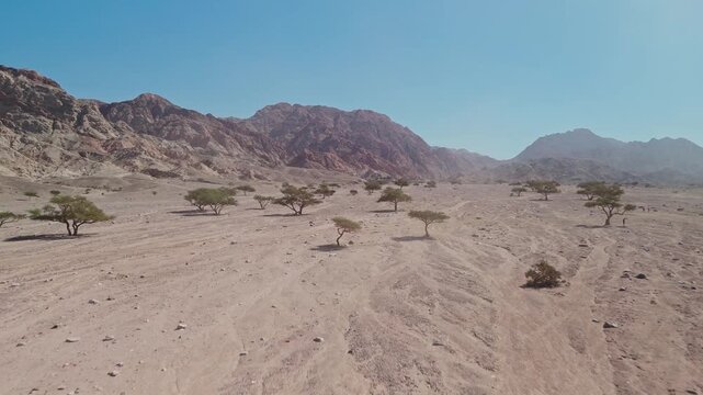 Fast reveal drone over red rocky desert with trees and mountains in valley