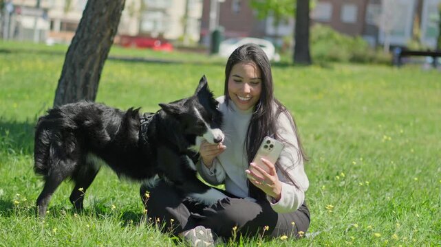 Beautiful woman taking a selfie with her charming border collie dog while sitting on the green grass of a sunny park