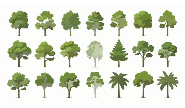 Tree elevation vector set with various green tree species isolated for landscape and architectural design