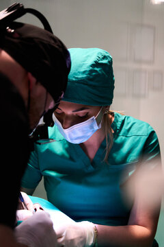 Female dental surgeon in scrubs and mask performing oral surgery with focused team in modern clinic