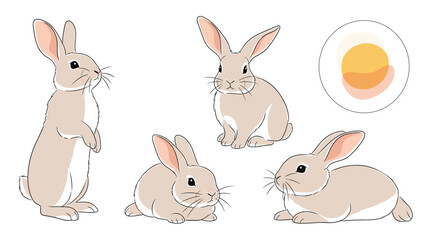Fototapeta premium Detailed illustrations of four light brown bunnies in different sitting and lying positions with soft fur textures and gentle animal features.