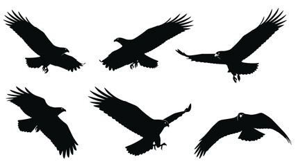 Obraz premium Group of six black silhouettes of eagles soaring and diving through the air, shown from different angles on a white background.