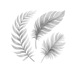 Fototapeta premium Elegant Hand-Drawn Tropical Palm Leaves SVG Set – Minimal Botanical Line Art Illustration