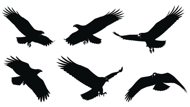 Group of six black silhouettes of eagles soaring and diving through the air, shown from different angles on a white background.