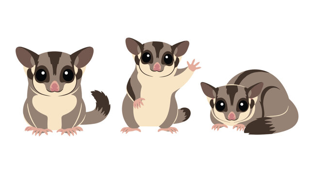 Three cute sugar gliders in different poses including one waving its hand and another curled up on a plain white background for mascot design.