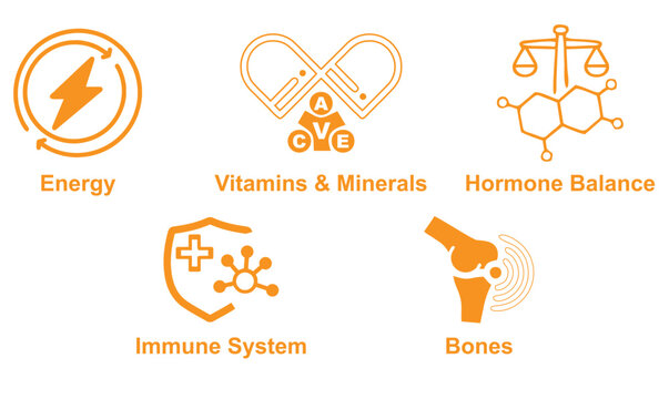 Modern healthcare icon set featuring vitamins & minerals, immune system, energy, bones, and hormone balance in a clean minimal vector style ideal for wellness and medical designs.