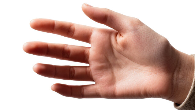 Human hand with extended fingers and sleeve cuff