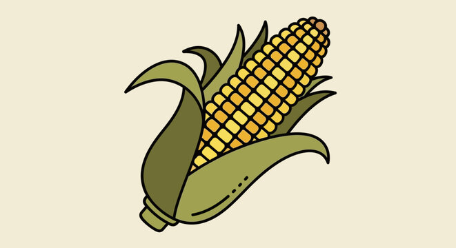 Illustration of a single corn on the cob.