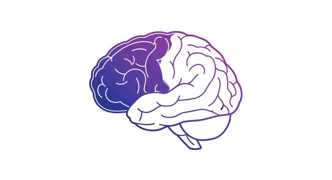 Conceptual illustration of the human brain highlighting specific functional areas