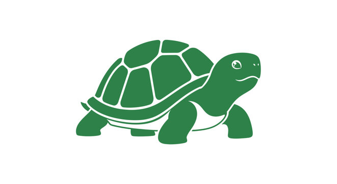 A serene graphic depiction of a green tortoise on a pristine white background