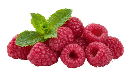 Crimson ripe raspberries with fresh green mint leaves © Lukas