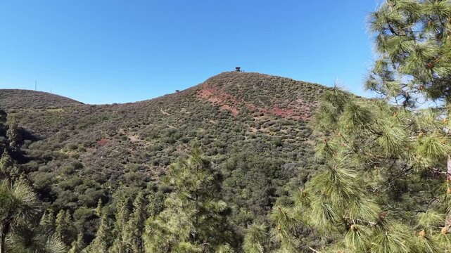 Aerial drone shot flying backwards from pine trees, revealing a fire lookout tower atop a remote, tree covered mountain on a sunny day