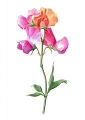 Obraz premium Vibrant floral illustration with elegance.